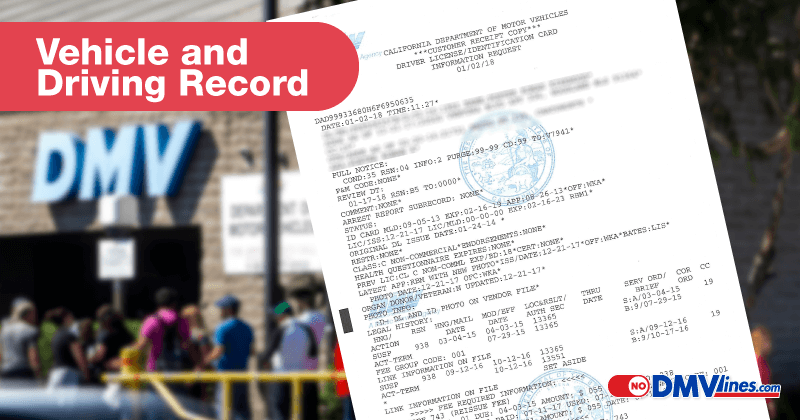 vehicle record license record mvr driving record